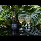 More moet-nectar-life1.jpg